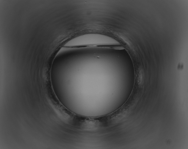 X0000091530455200708311314