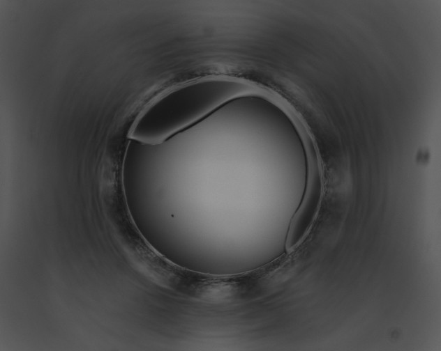 X0000091530456200708311314