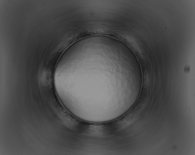 X0000091530457200708311314