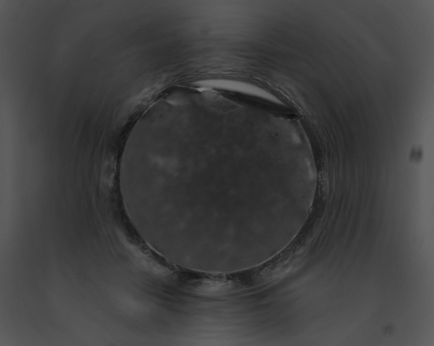 X0000091530458200708311314