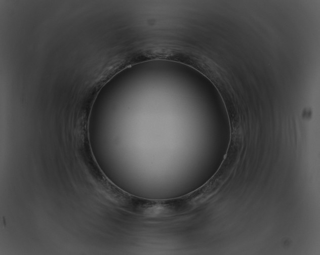 X0000091530460200708311314