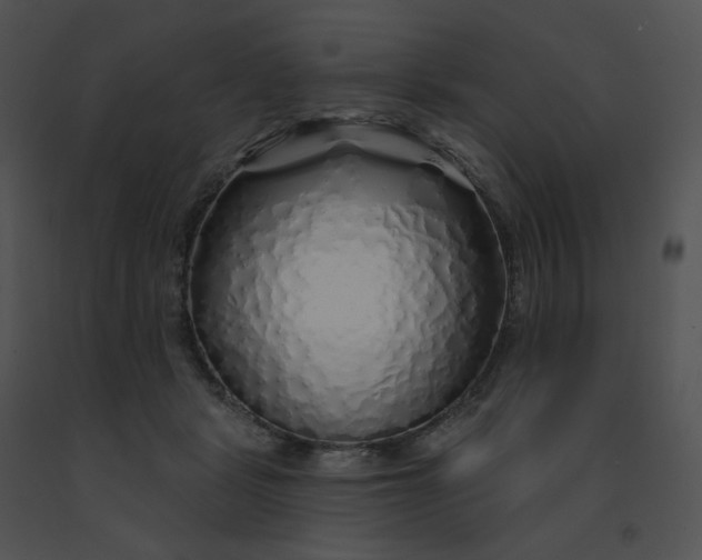 X0000091530461200708311314