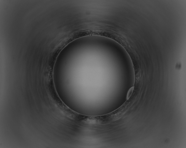X0000091530464200708311314