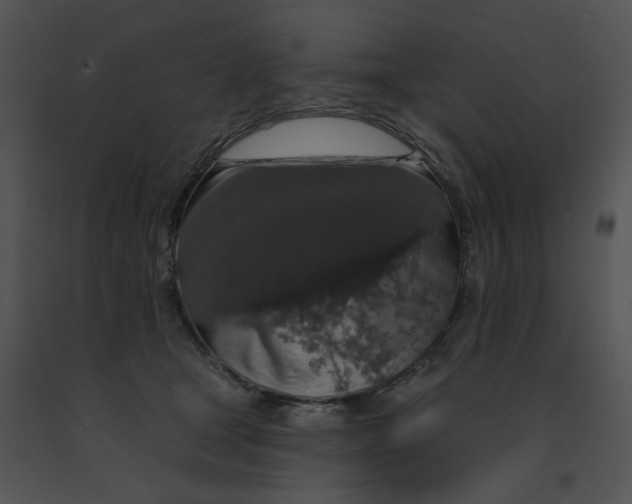 X0000091530465200708311314