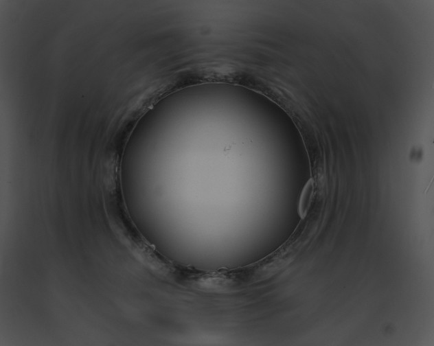 X0000091530468200708311314