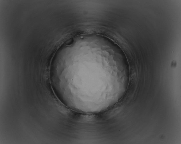 X0000091530469200708311314