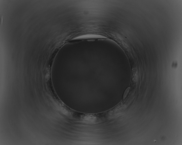 X0000091530471200708311314