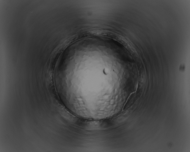 X0000091530473200708311314