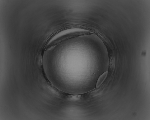X0000091530474200708311314