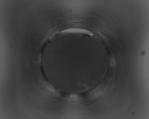 X0000091530475200708311314
