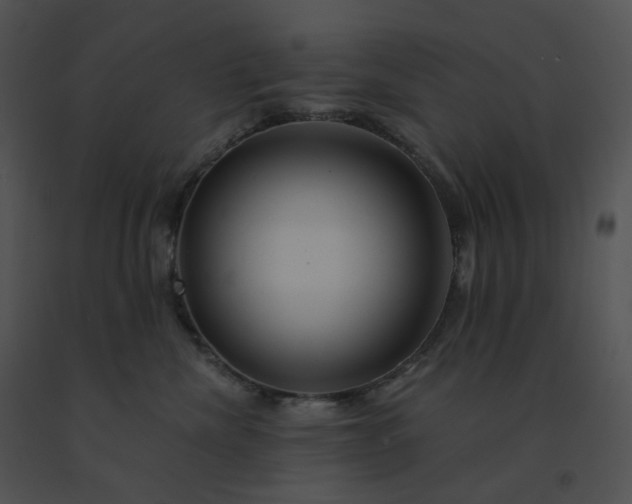 X0000091530476200708311314