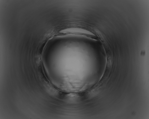 X0000091530477200708311314