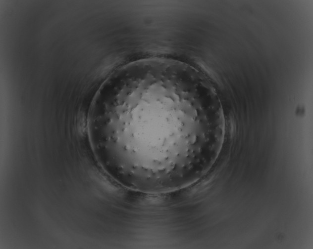 X0000091530479200708311314