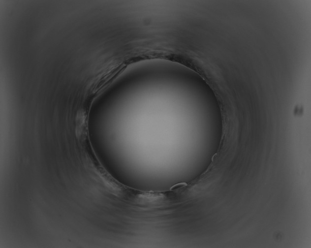 X0000091530480200708311314