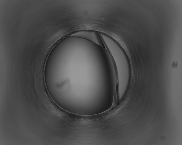 X0000091530481200708311314