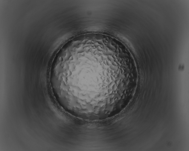 X0000091530482200708311314