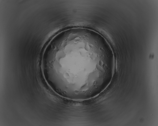 X0000091530483200708311314