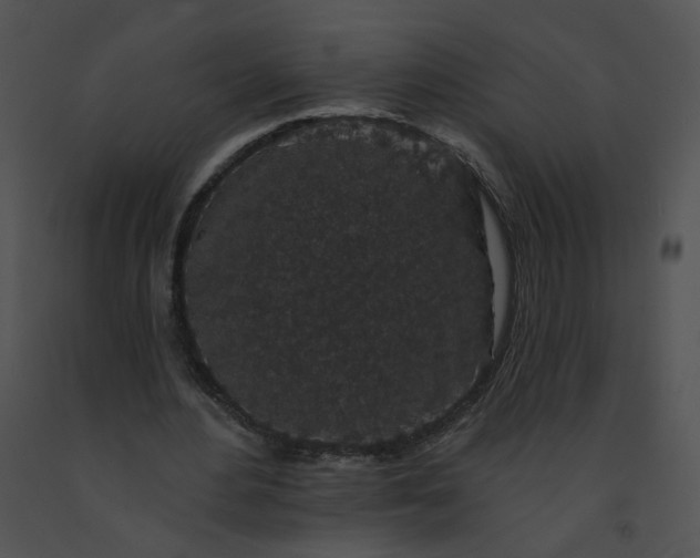 X0000091530484200708311314