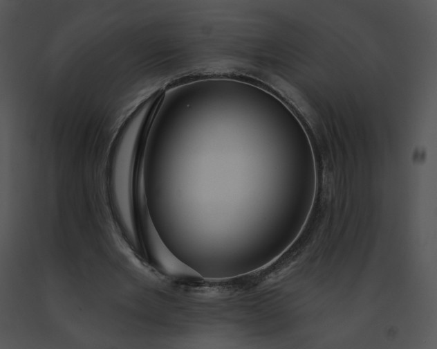 X0000091530485200708311314