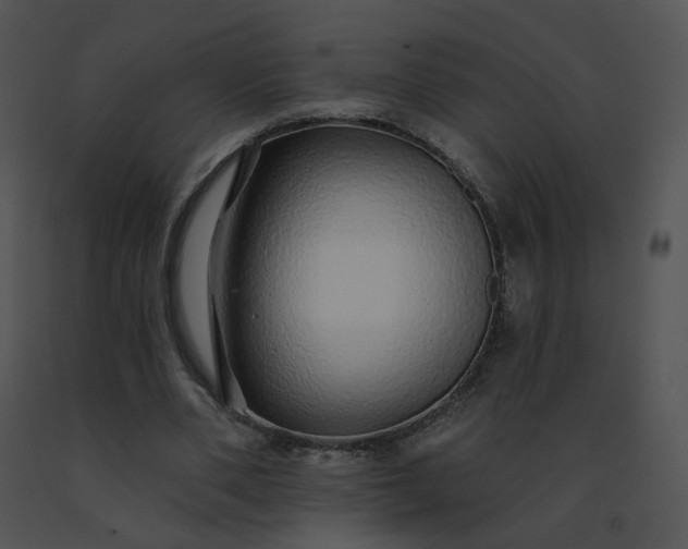X0000091530486200708311314