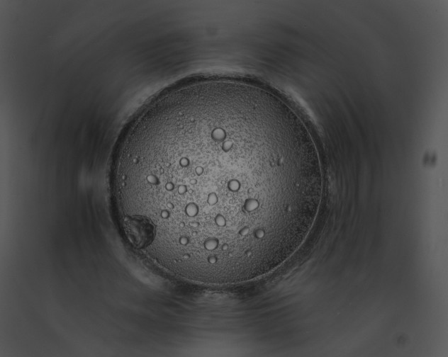 X0000091530487200708311314