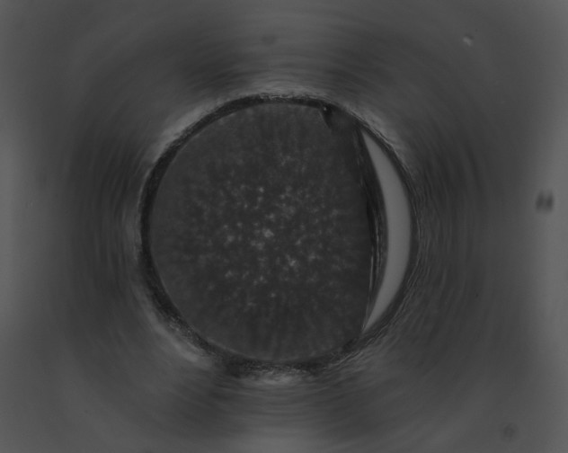 X0000091530488200708311314