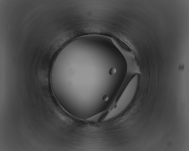 X0000091530489200708311314
