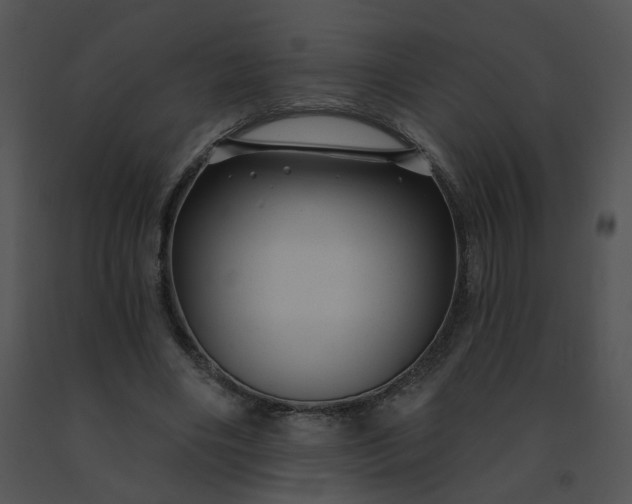 X0000091530490200708311314