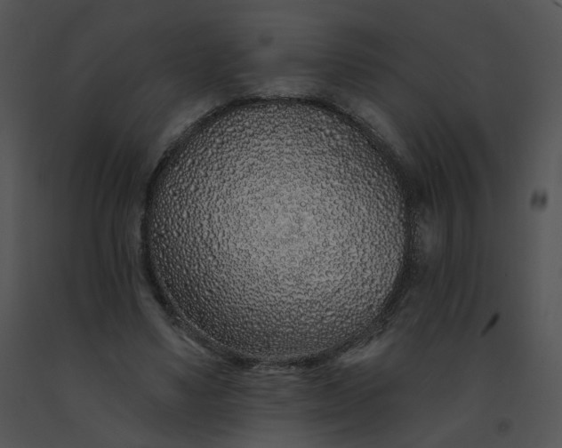 X0000091530491200708311314