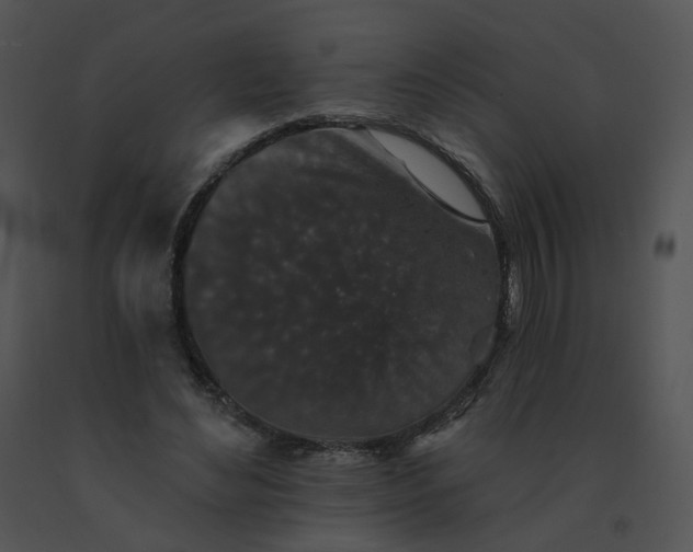 X0000091530492200708311314