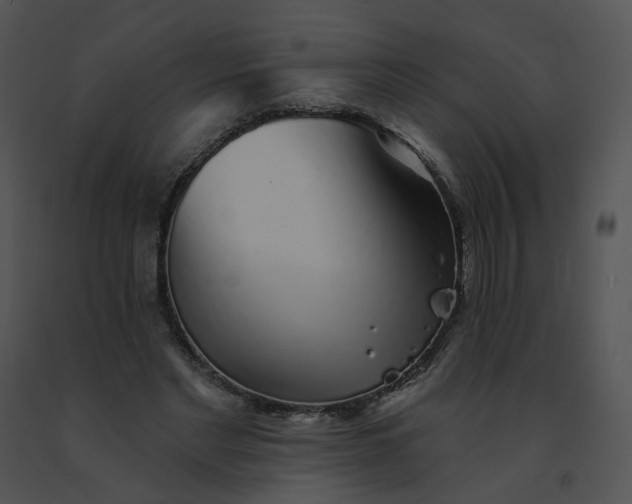 X0000091530493200708311314