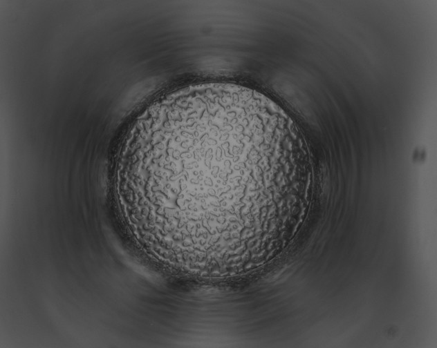 X0000091530494200708311314