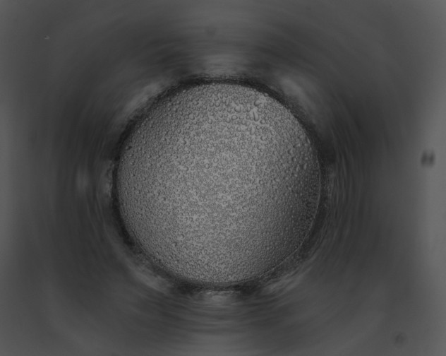 X0000091530495200708311314