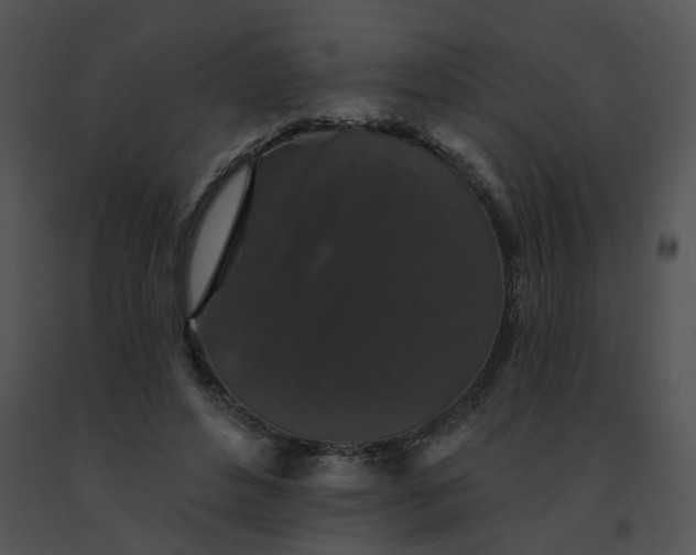 X0000091530496200708311314