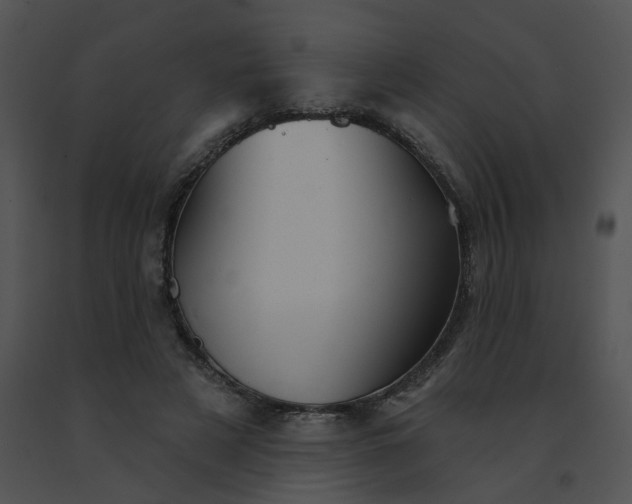 X0000091530497200708311314