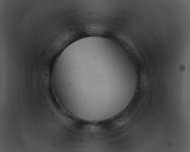 X0000091530498200708311314