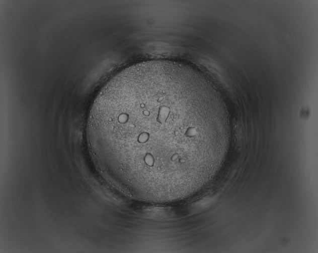 X0000091530499200708311314