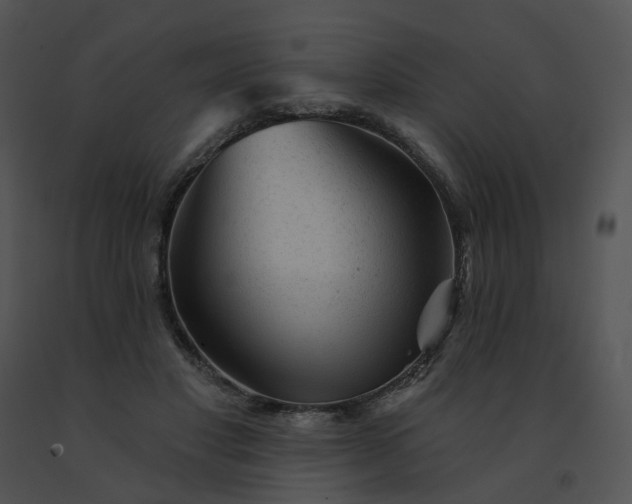 X0000091530501200708311314