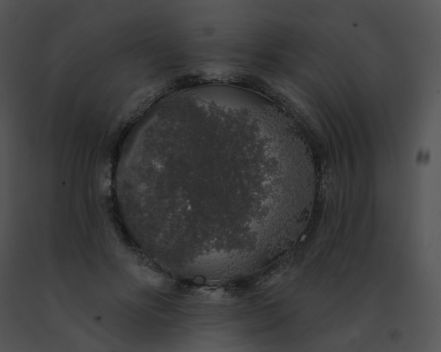 X0000091530502200708311314