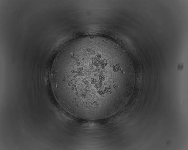 X0000091530503200708311314