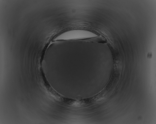 X0000091530504200708311314