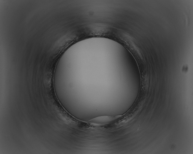 X0000091530505200708311314