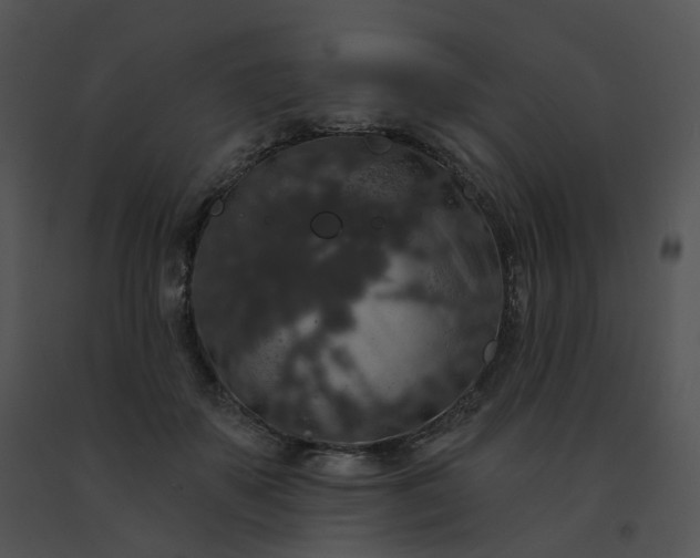 X0000091530507200708311314