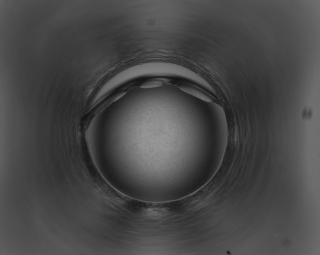 X0000091530508200708311314