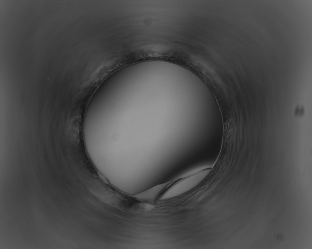 X0000091530509200708311314