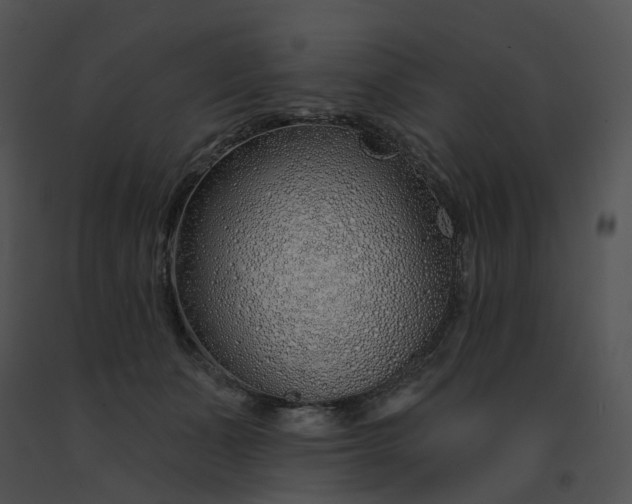 X0000091530511200708311313