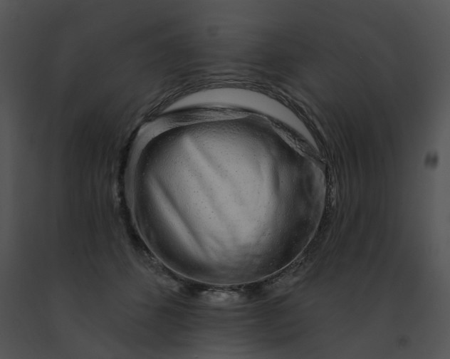 X0000091530512200708311313