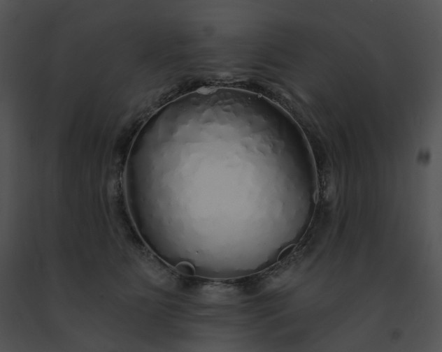X0000091530515200708311313