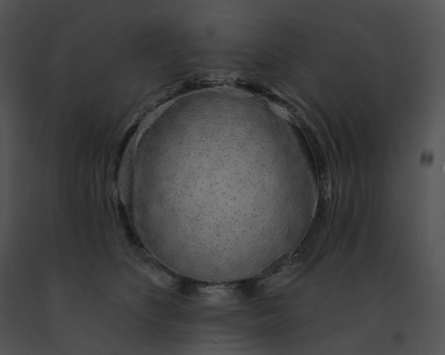 X0000091530516200708311313