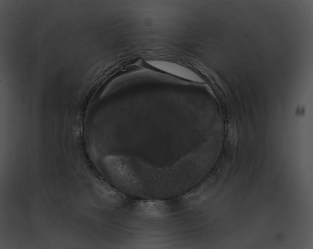 X0000091530517200708311313
